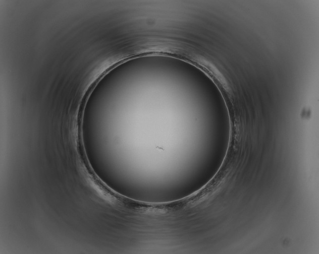 X0000097760890200803071252