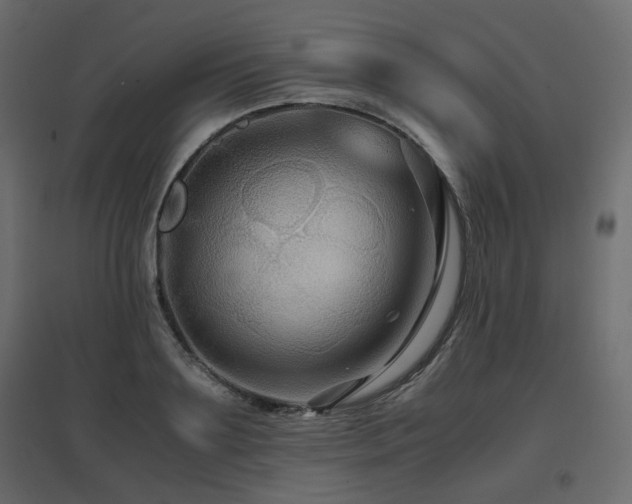 X0000097760891200803071252