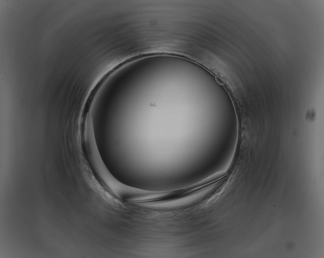 X0000097760892200803071252