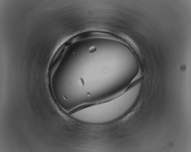 X0000097760893200803071252