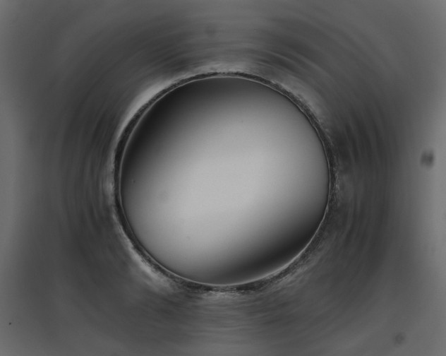 X0000097760894200803071252