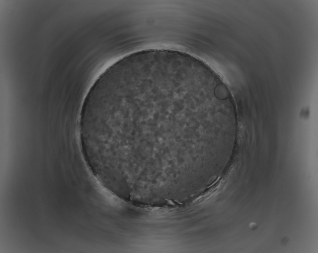 X0000097760895200803071252