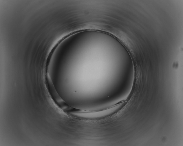 X0000097760896200803071252