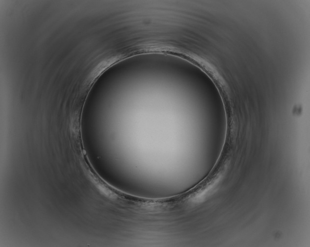 X0000097760897200803071252