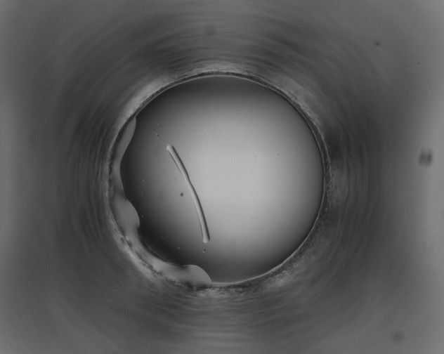 X0000097760898200803071252
