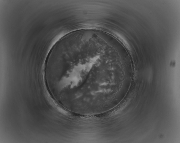 X0000097760899200803071252