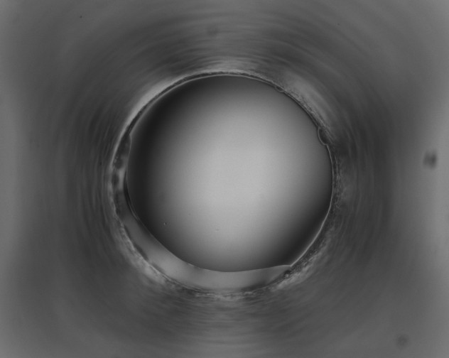 X0000097760900200803071252
