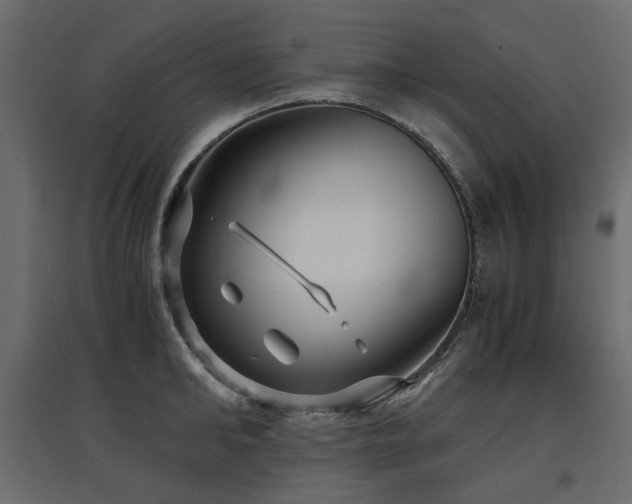 X0000097760902200803071252