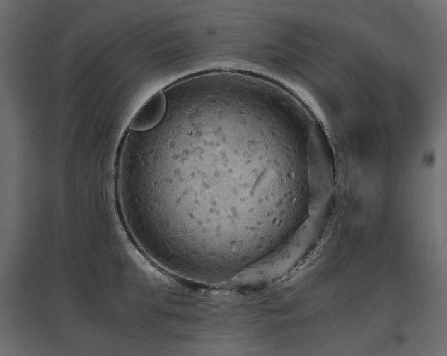X0000097760903200803071252
