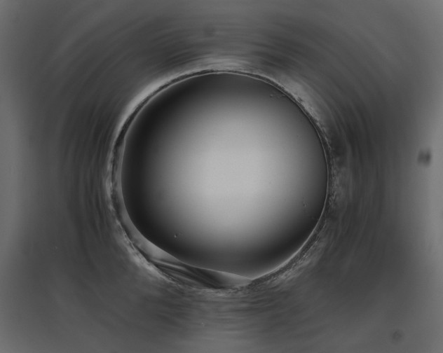 X0000097760904200803071252