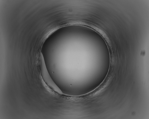 X0000097760905200803071252