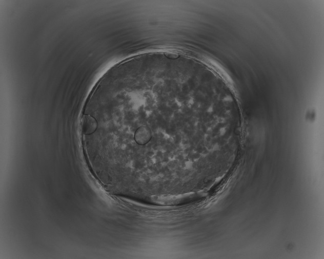 X0000097760907200803071252