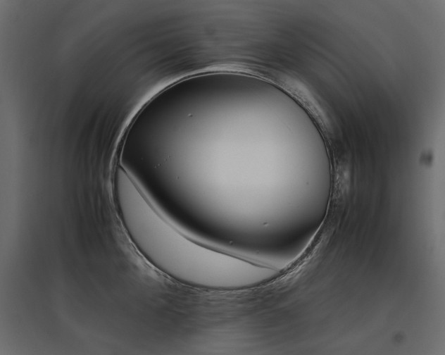 X0000097760908200803071252