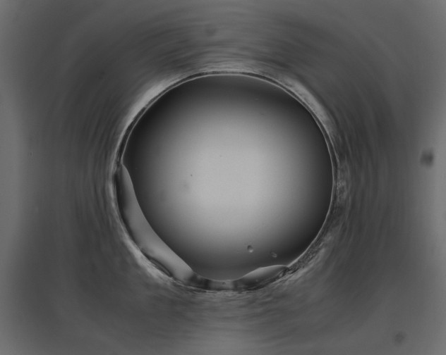 X0000097760909200803071252