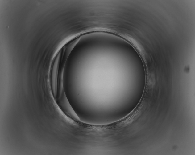 X0000097760910200803071252