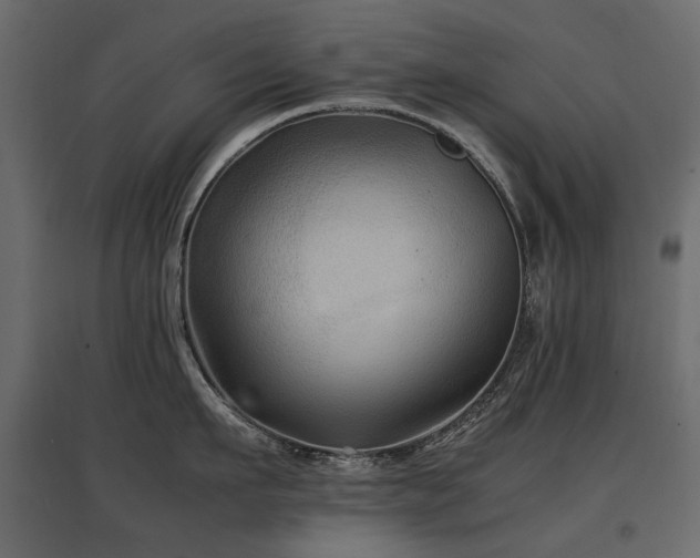 X0000097760911200803071252