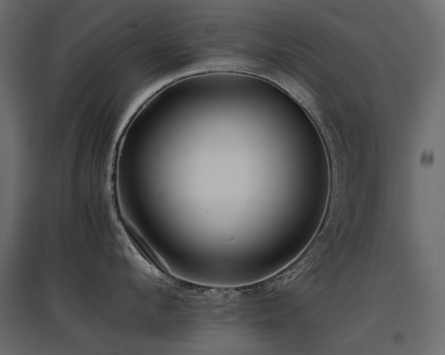 X0000097760912200803071252