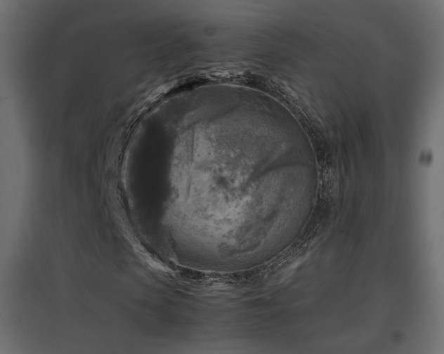 X0000097760913200803071251
