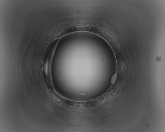 X0000097760914200803071251