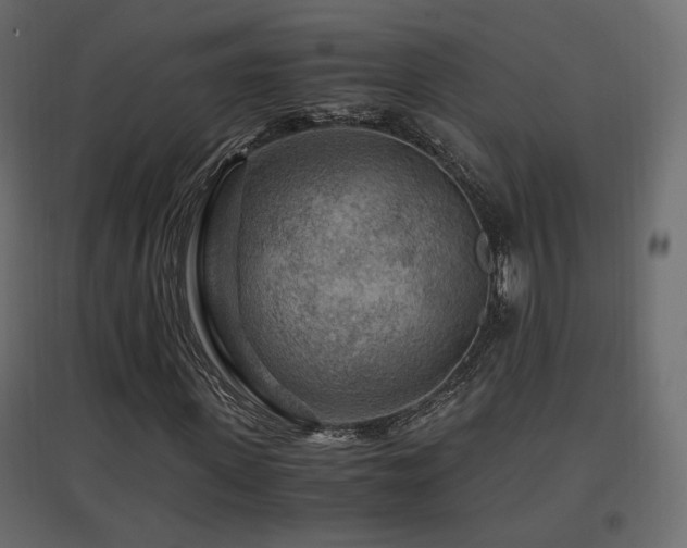 X0000097760915200803071251