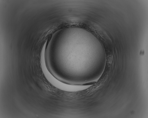 X0000097760916200803071251