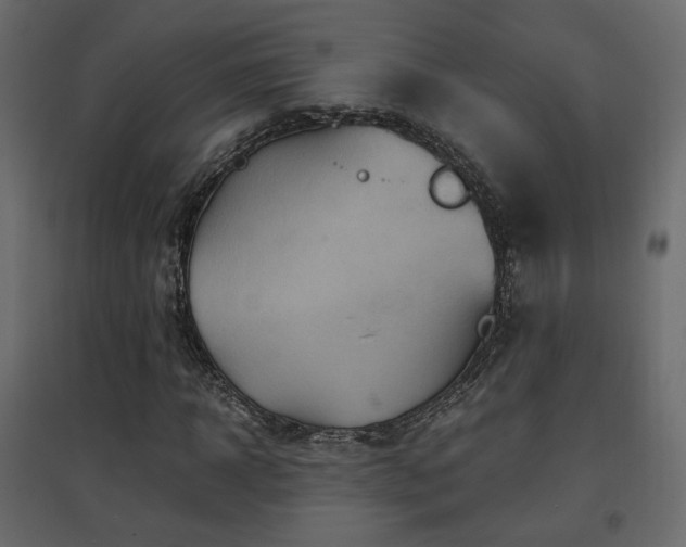 X0000097760918200803071251