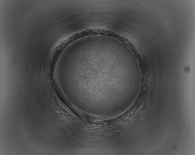 X0000097760919200803071251