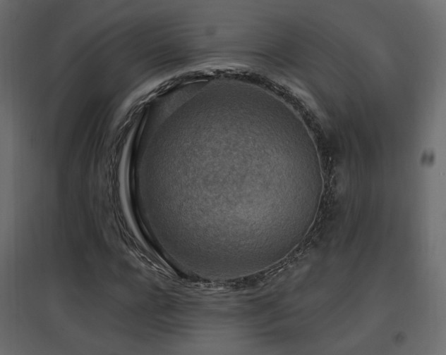 X0000097760920200803071251