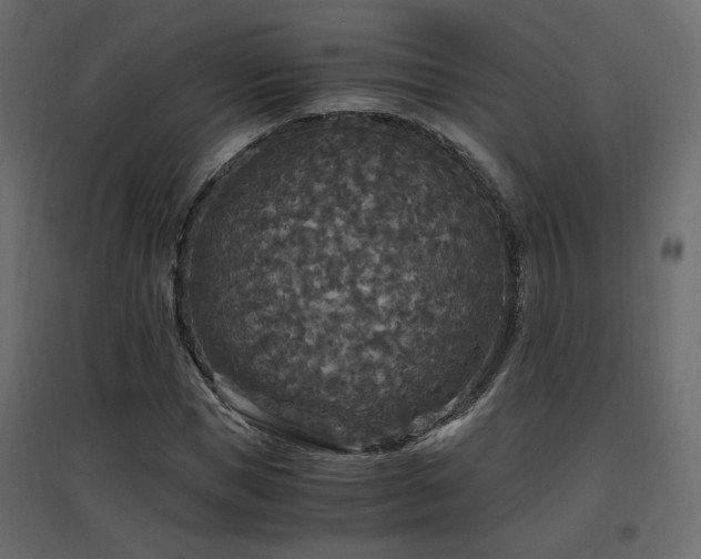 X0000097760921200803071251