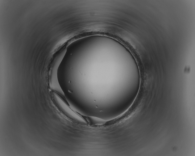 X0000097760922200803071251