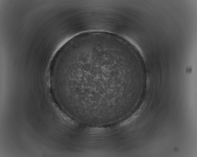 X0000097760925200803071251