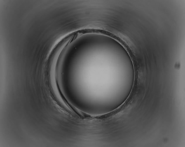 X0000097760926200803071251