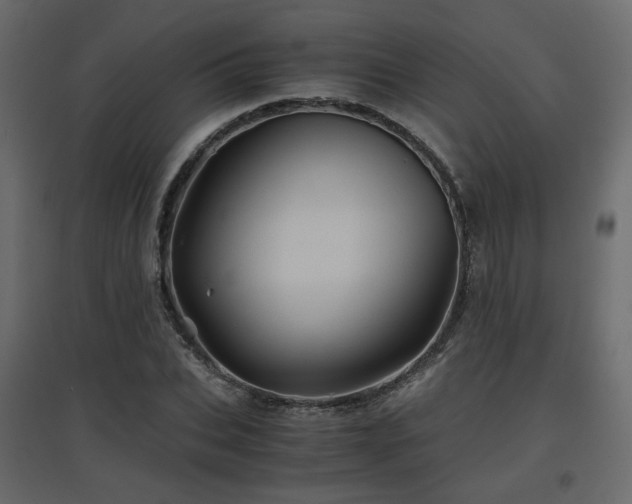 X0000097760927200803071251