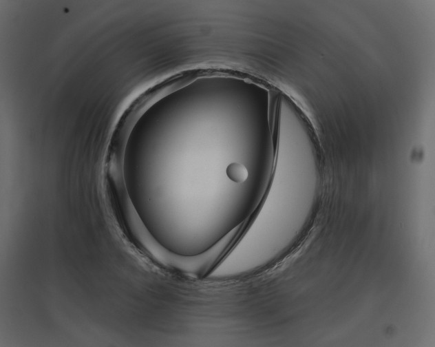 X0000097760928200803071251