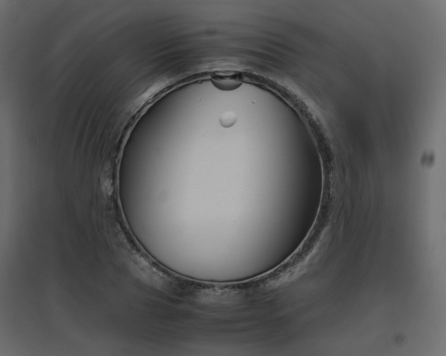 X0000097760929200803071251