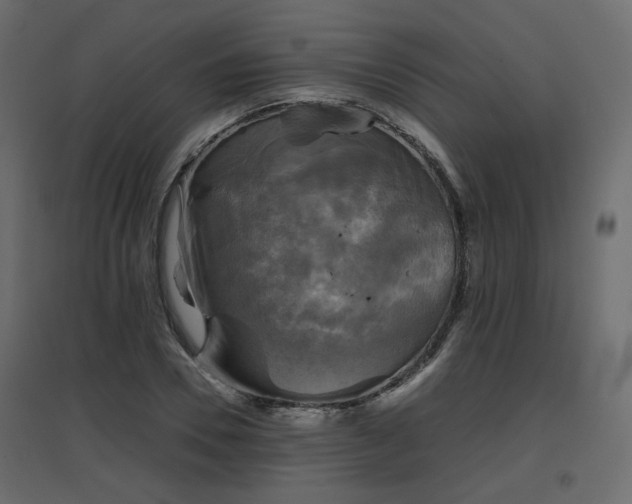 X0000097760930200803071251