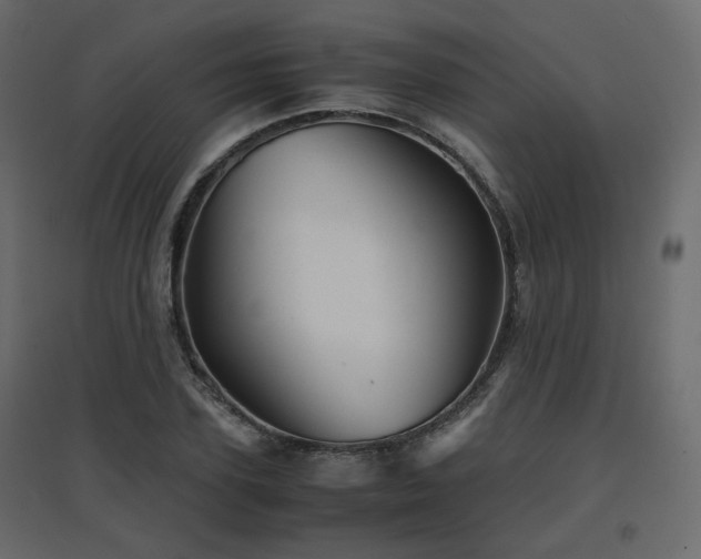 X0000097760931200803071251