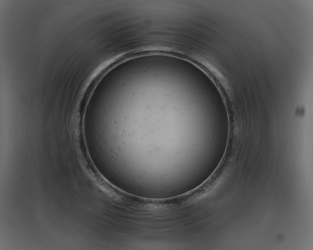 X0000097760933200803071251