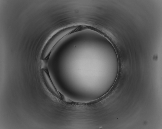 X0000097760934200803071251