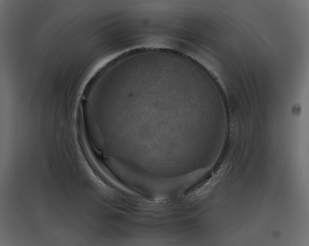 X0000097760935200803071251