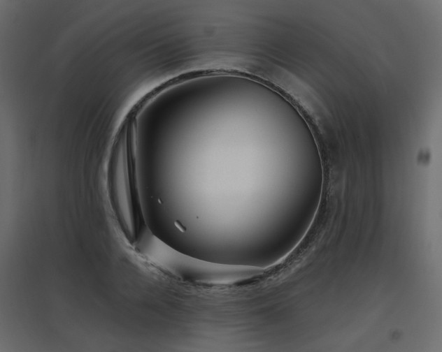X0000097760936200803071251
