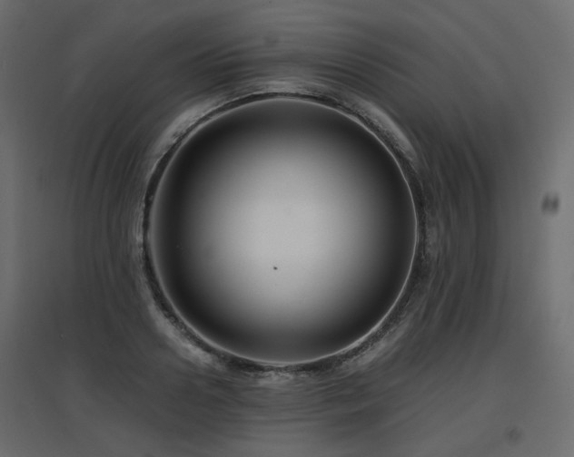 X0000097760938200803071251
