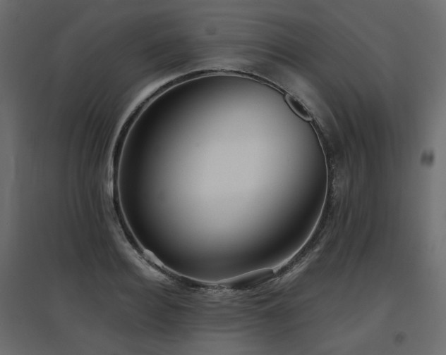 X0000097760940200803071251