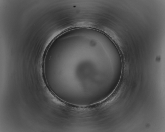 X0000097760941200803071252