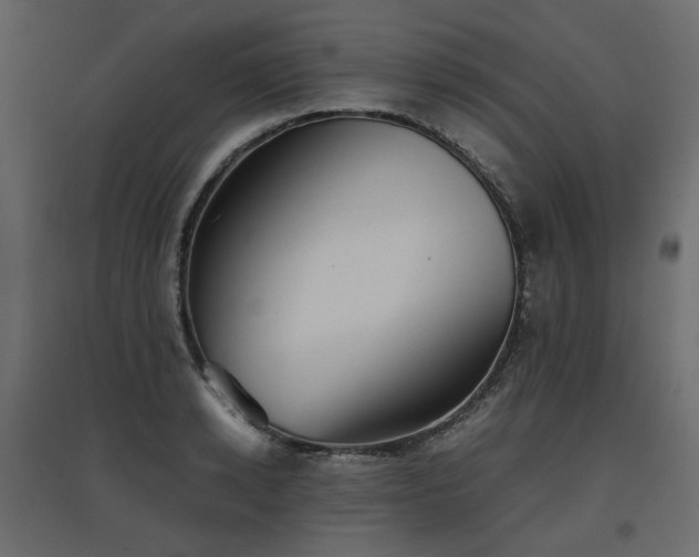 X0000097760942200803071252