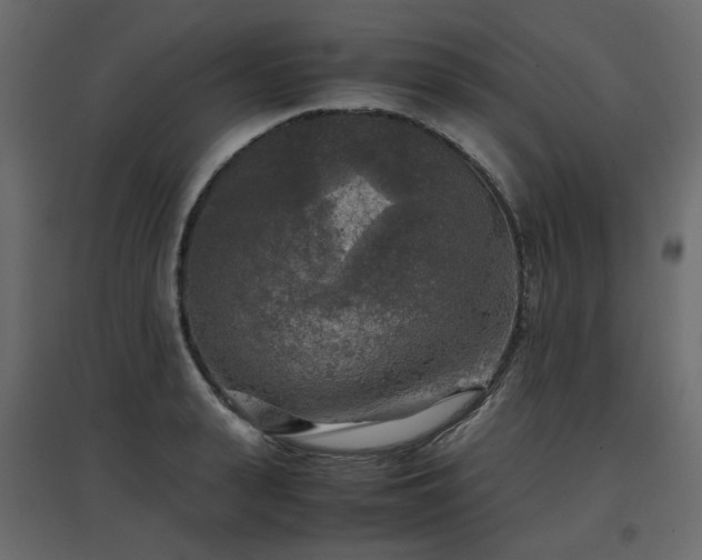 X0000097760943200803071252