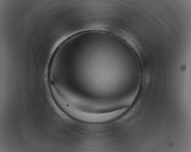 X0000097760944200803071252