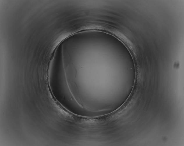 X0000097760945200803071252