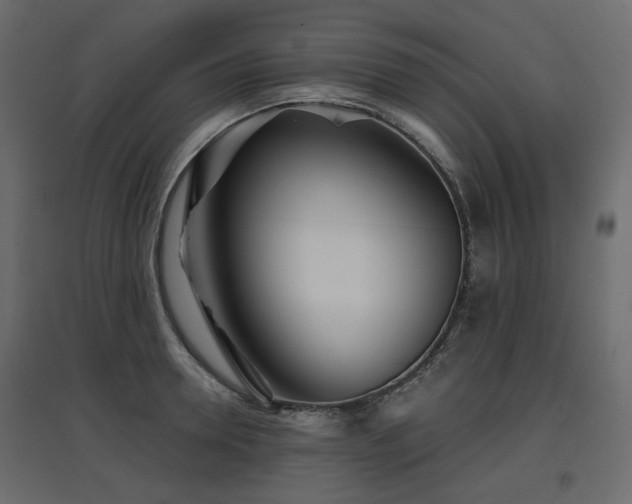 X0000097760946200803071252