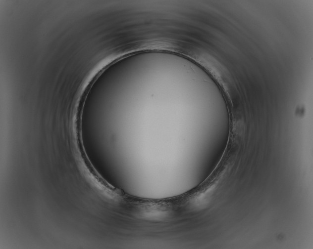 X0000097760947200803071252